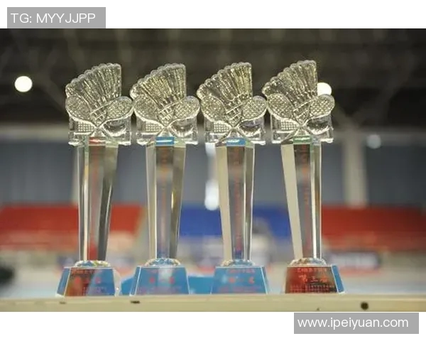 武汉羽毛球队反击战术深度解析与实战应用探讨